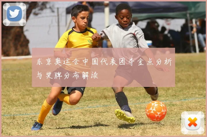 东京奥运会中国代表团夺金点分析与奖牌分布解读