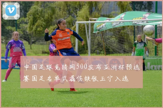 中国足球竟猜网500发布亚洲杯预选赛国足名单武磊伤缺张玉宁入选