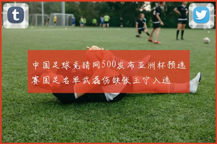 中国足球竟猜网500发布亚洲杯预选赛国足名单武磊伤缺张玉宁入选